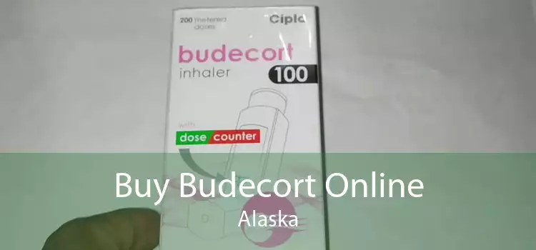 Buy Budecort Online Alaska