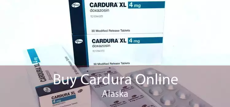 Buy Cardura Online Alaska