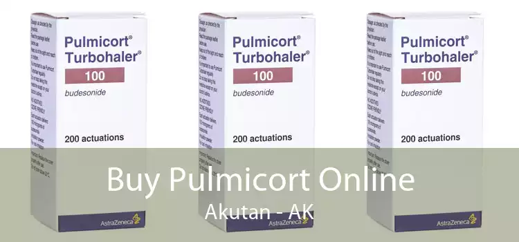 Buy Pulmicort Online Akutan - AK